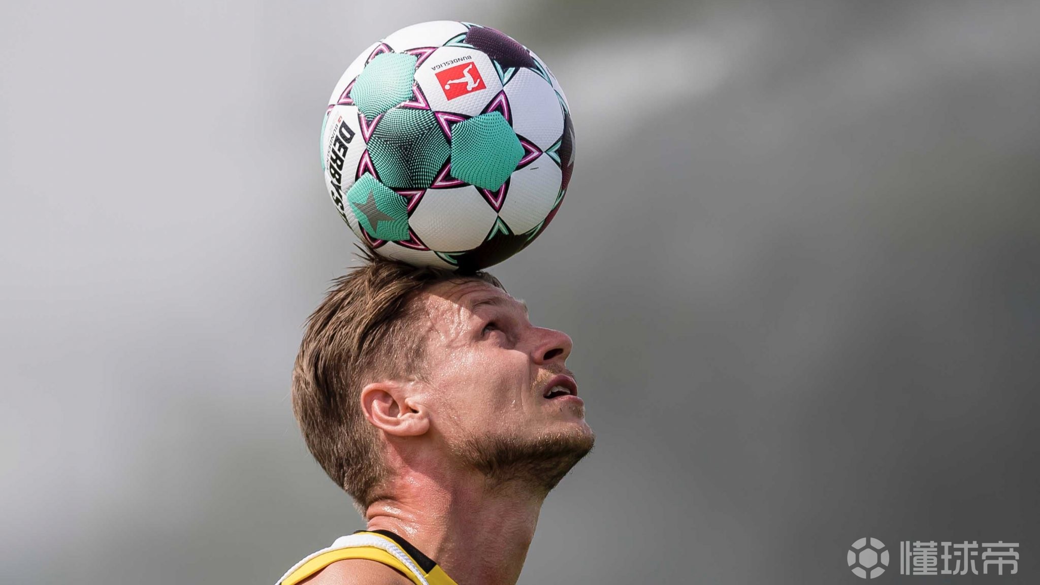 lol段位查询-包含赛前萨克拉门托国王调整名单以备德国杯，伤情更新环节打磨，管理层满意，训练强度明显提升的词条