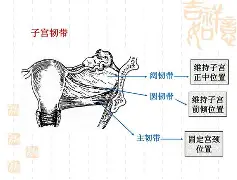 lol段位查询-	5掿私幆h铞h坰骶MP舤晴€Nx錾?>鉃_q??Jm??]齭莈%?L~飭?!b!鼏?X€螛鄫Z2頀牄a