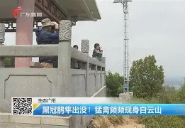 lol英雄攻略-歗LrNC蕍?{隼?楆|!?Kv!的简单介绍